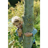 Комплект раций FM BRESSER National Geographic 73756